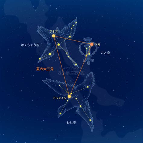 夏至 星座|夏の星座｜やさしい88星座図